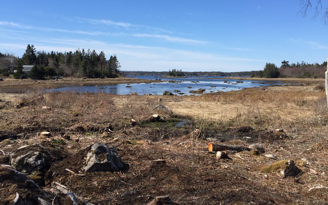 Lenethen Road, East Port Medway, NS – Nice Ocean Front Corner Lot in Sheltered Cove