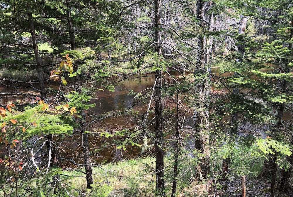 Lot 8 Bell Court, Nine Mile River **SOLD**