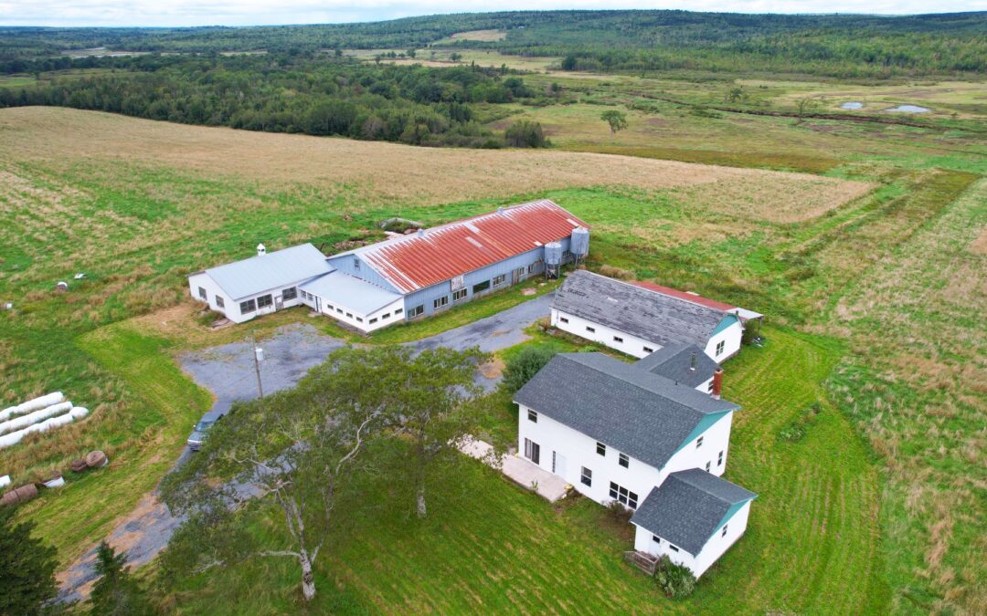 6875 Highway 357, M Musquodoboit (SOLD)
