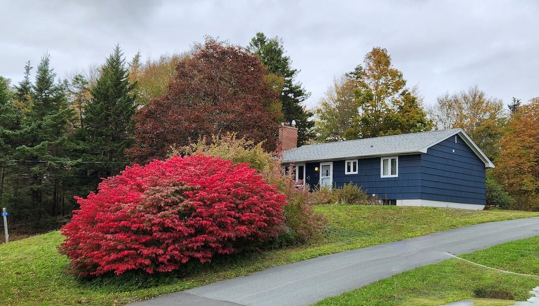 37 Kimara Drive, Hammonds Plains (SOLD)
